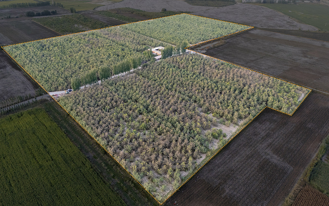 Orchard Spray Coverage Overview