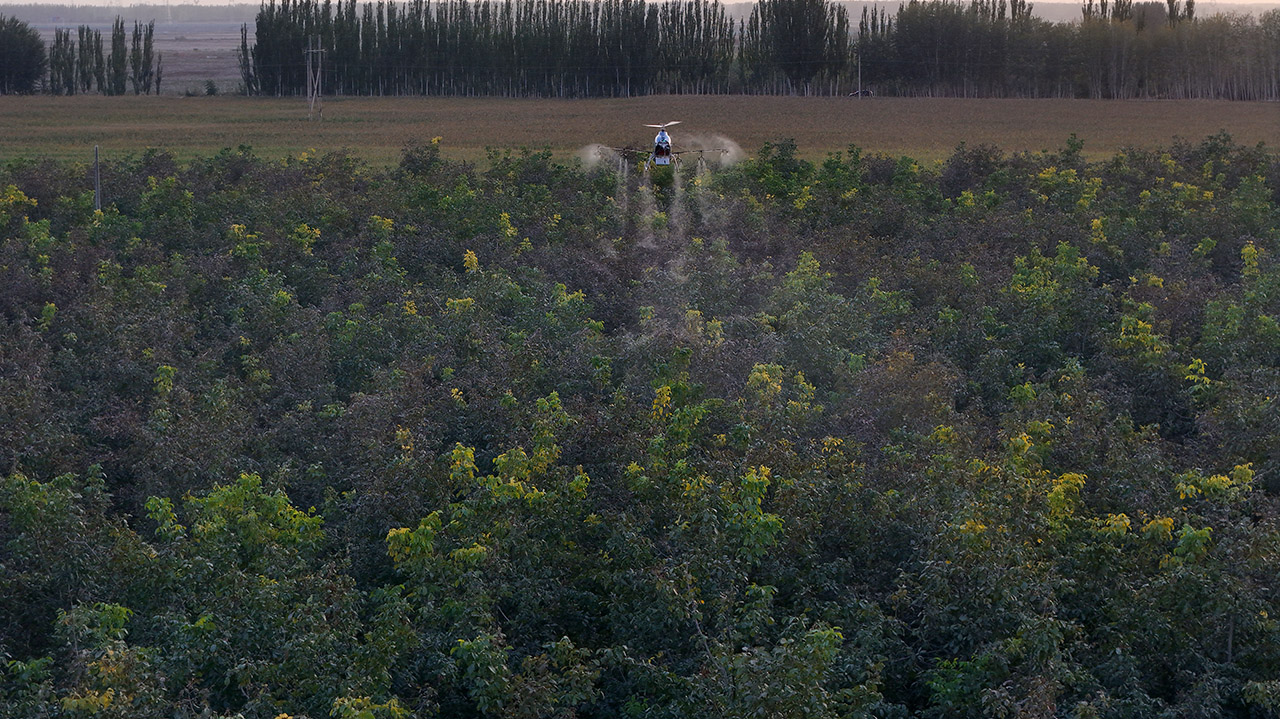 Standard Boom Sprayer with 12 Nozzles