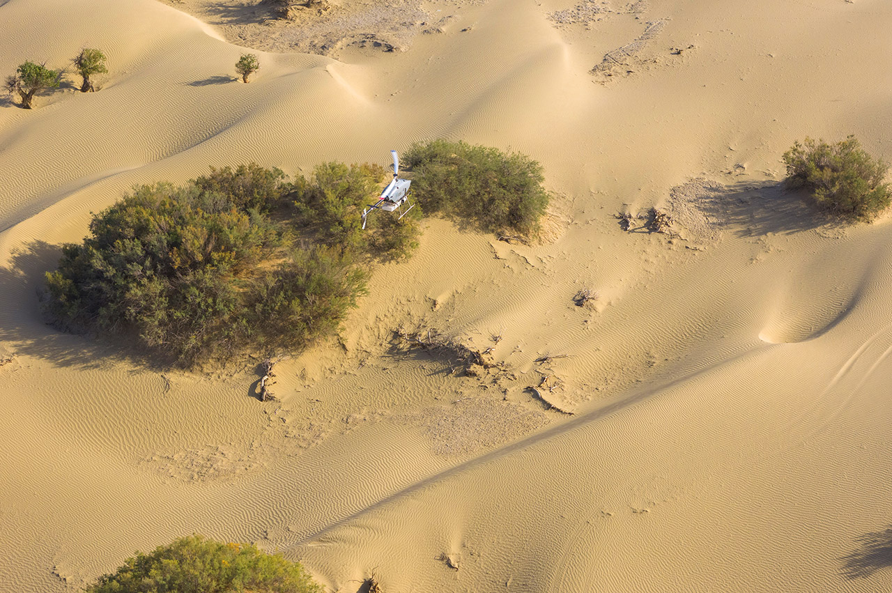 High-Altitude Top View