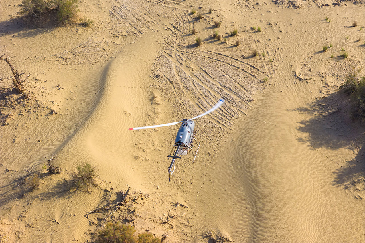 Desert Eagle in Flight