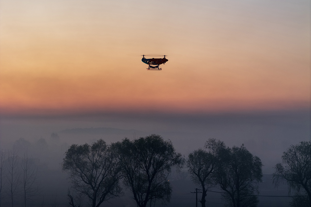 Laiyang Pear Orchard at Dawn