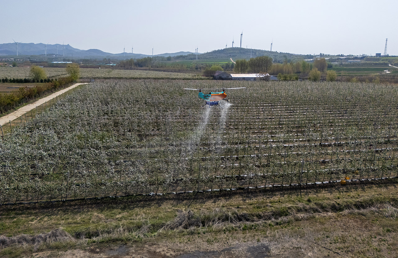 T280 Drone in Apple Orchard